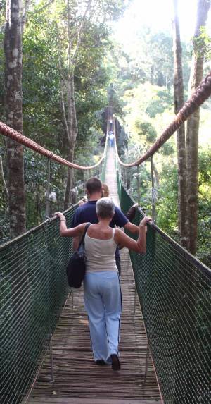 At one stage the route took us over a bridge through the forest canopy on a shivering rope bridge.